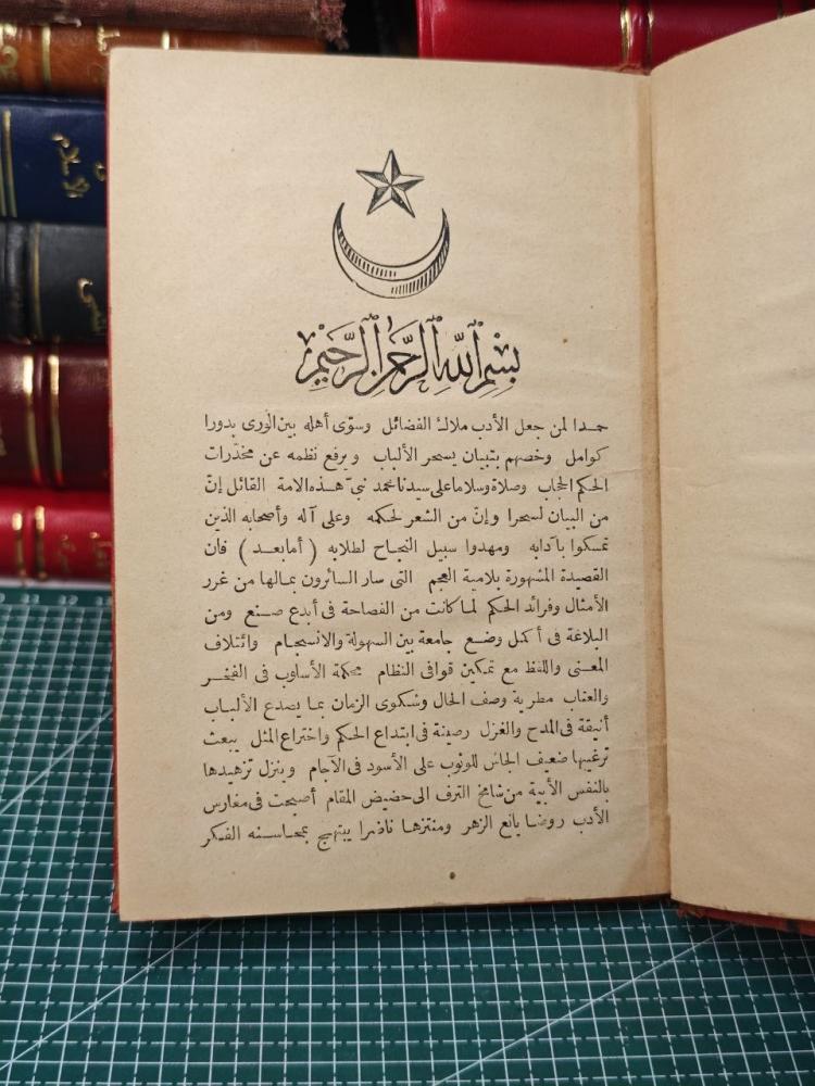 تحفة الرائى اللامية الطغرائى