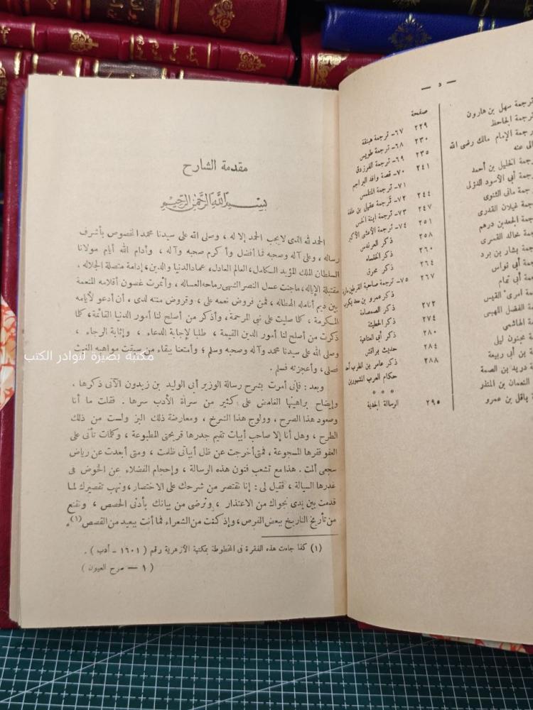 سرح العيون في شرح رسالة ابن زيدون