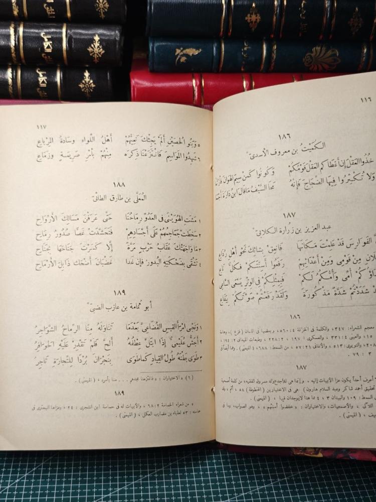 كتاب الوحشيات وهو الحماسة الصغرى