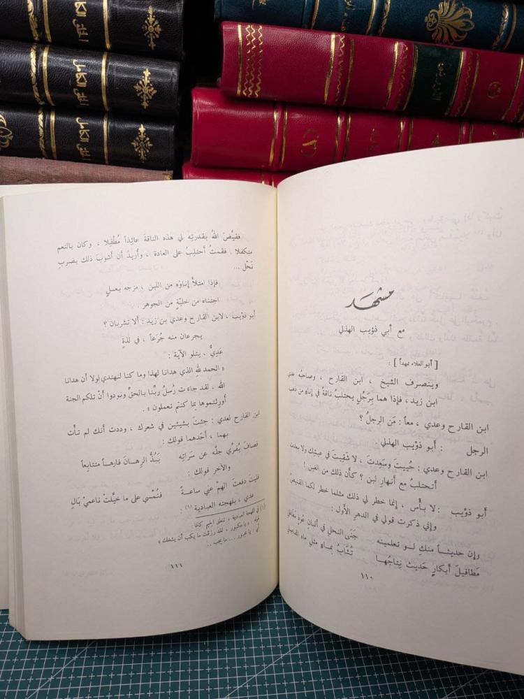جديد في رسالة الغفران