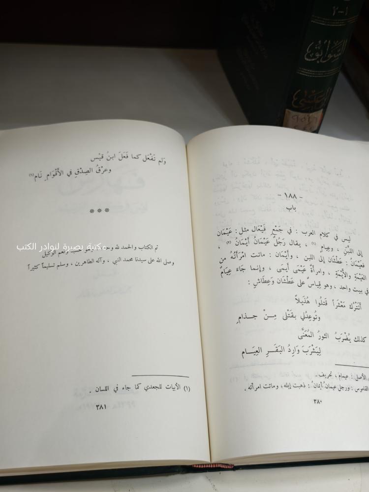 ليس في كلام العرب