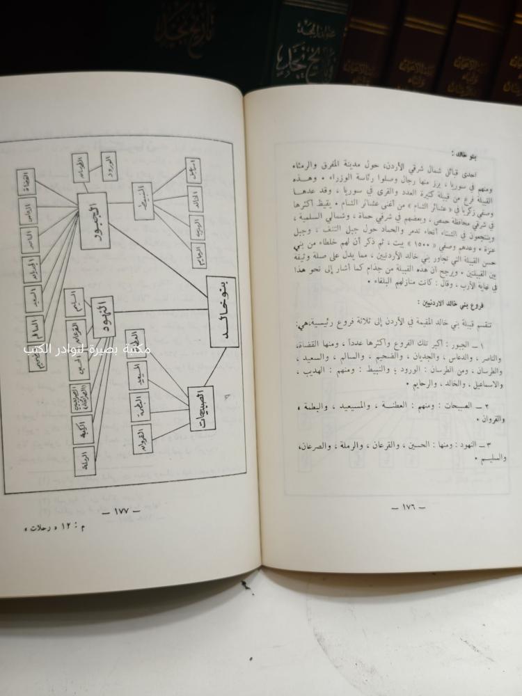 رحلات في بلاد العرب
