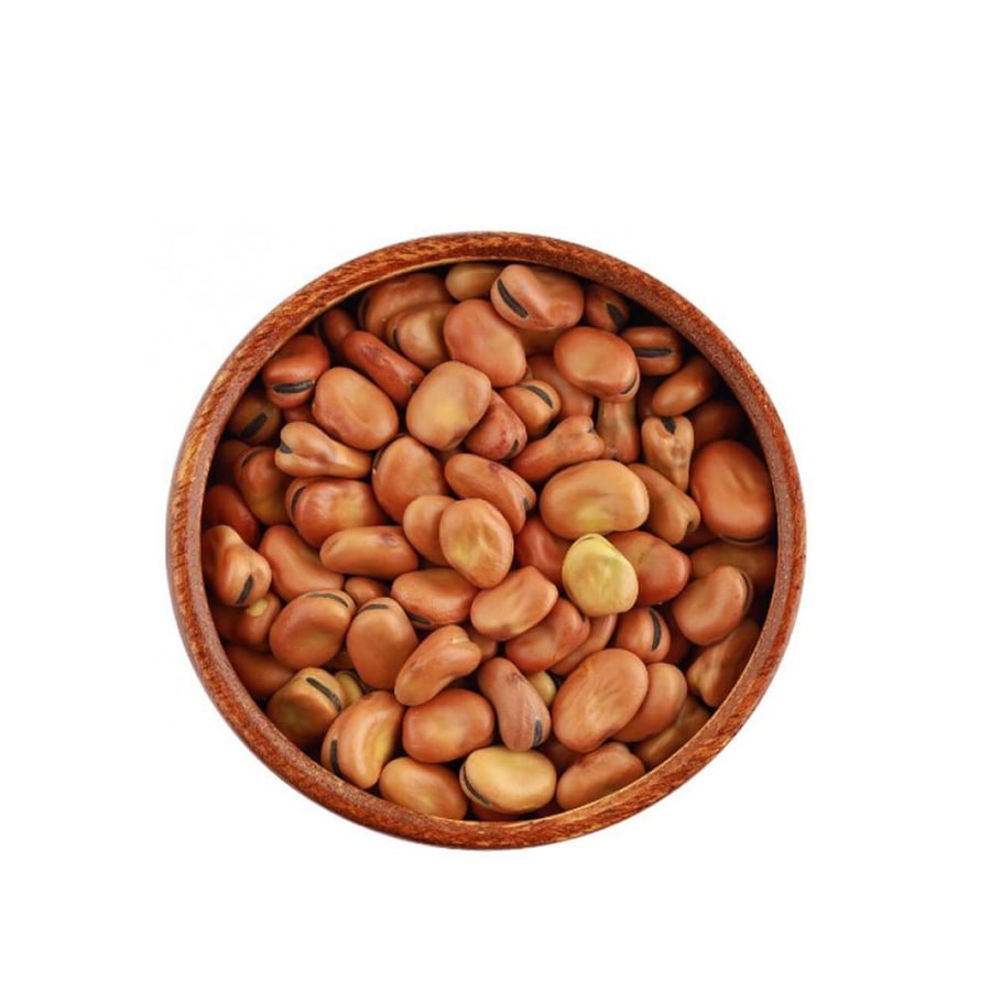 فول مصري معلب