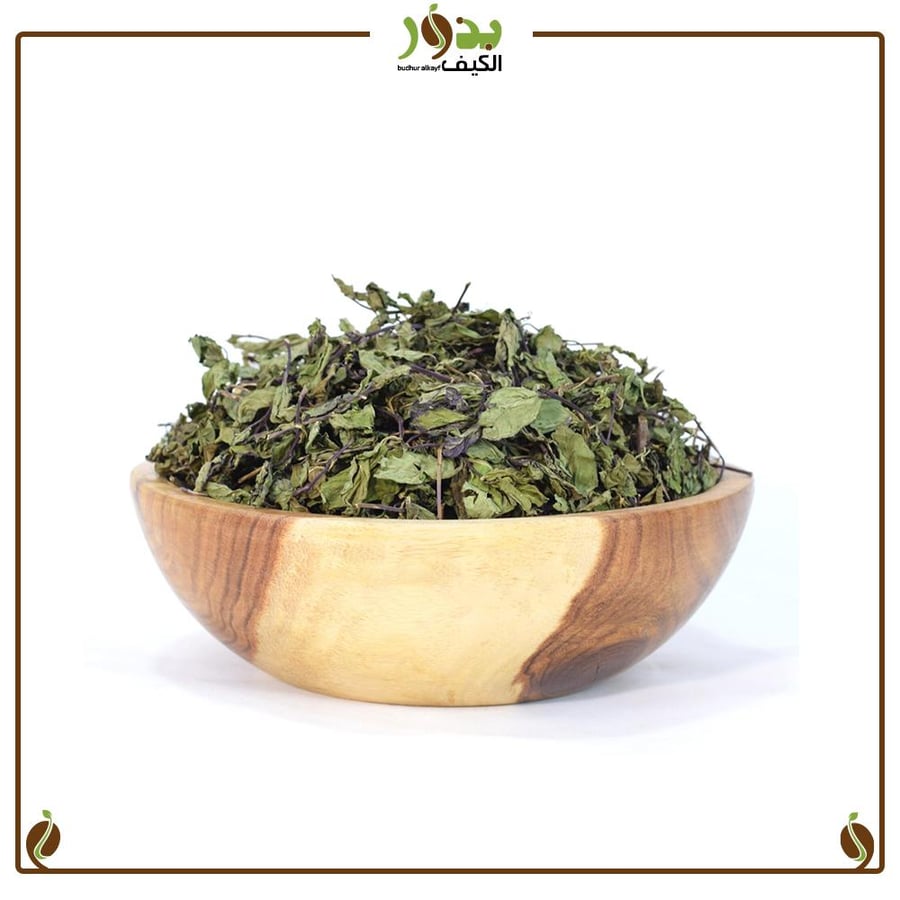 نعناع ورق