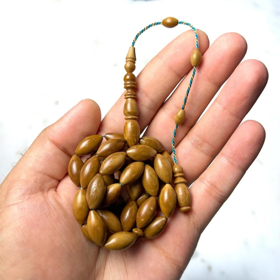 مسباح كوك زيتوني