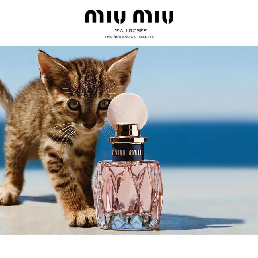 Miu Miu Miu Miu Miu La Rose Perfume 100ML