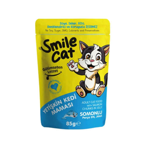 Moist cat food Smile Cat salmon in jelly pouch 85 g