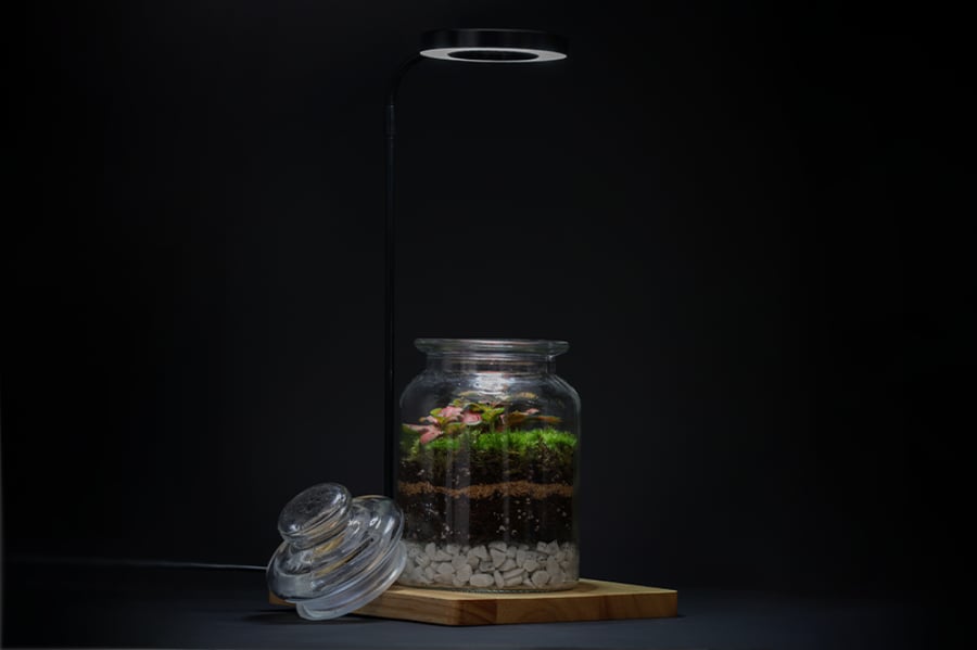 Lighting with a base