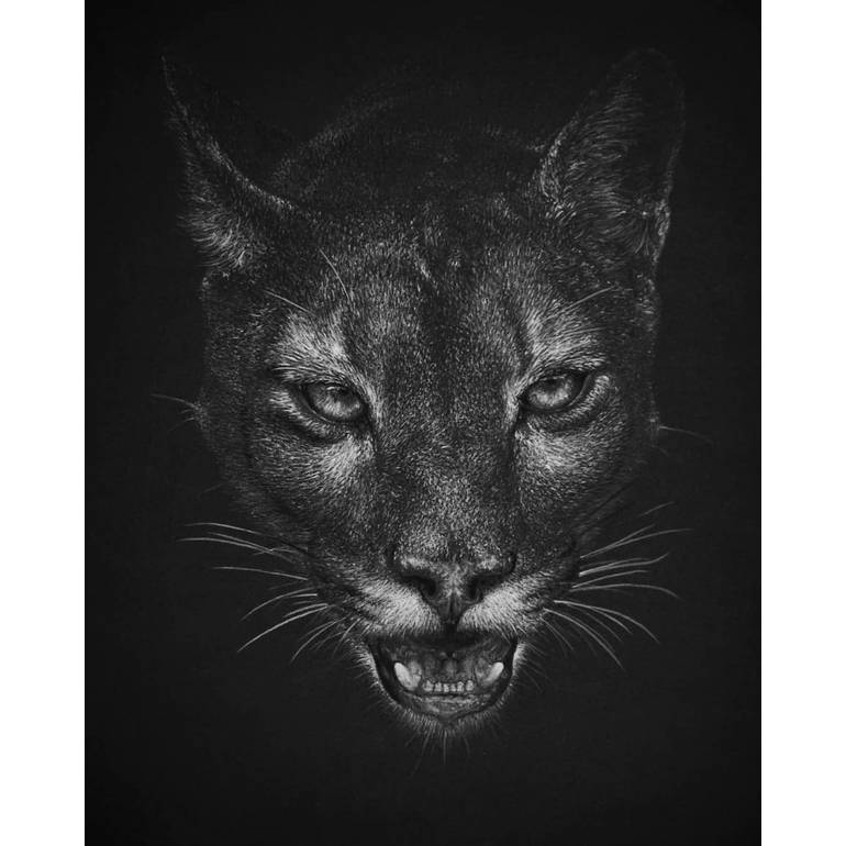 كراسة رسم أسود 150 جم XL , كانسون
