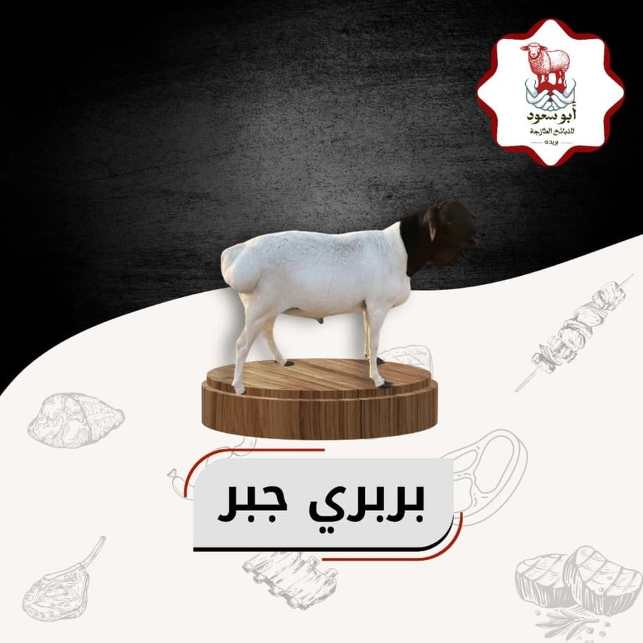 بربري جبر