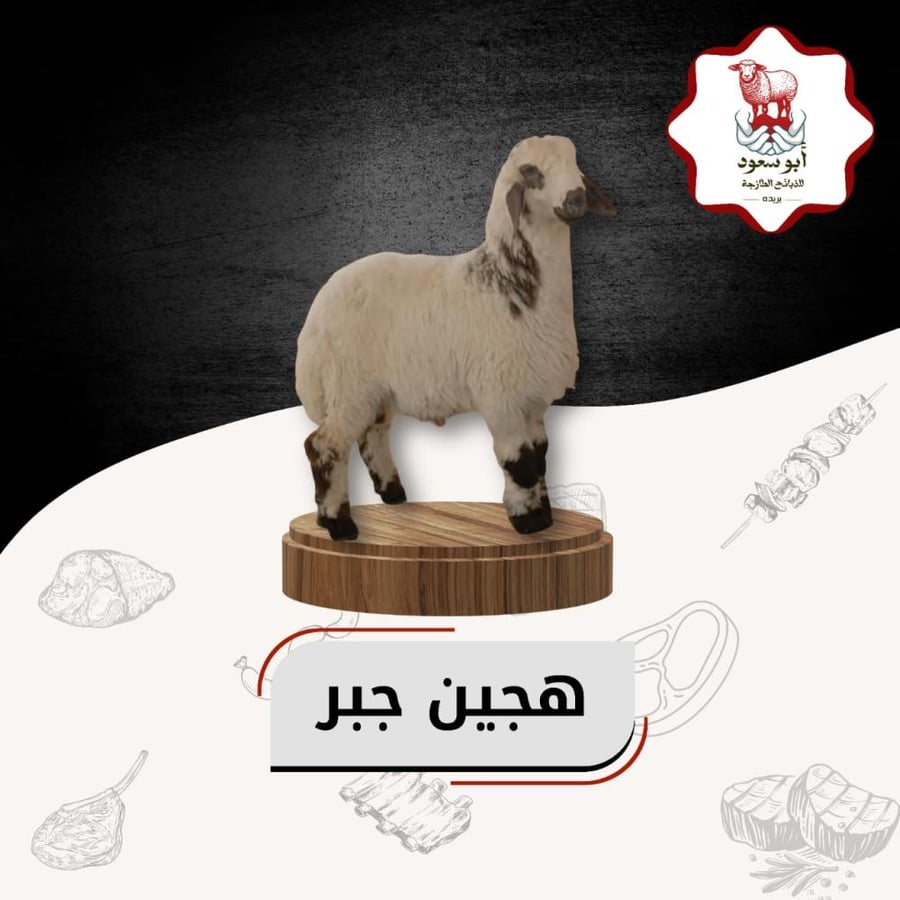هجين جبر