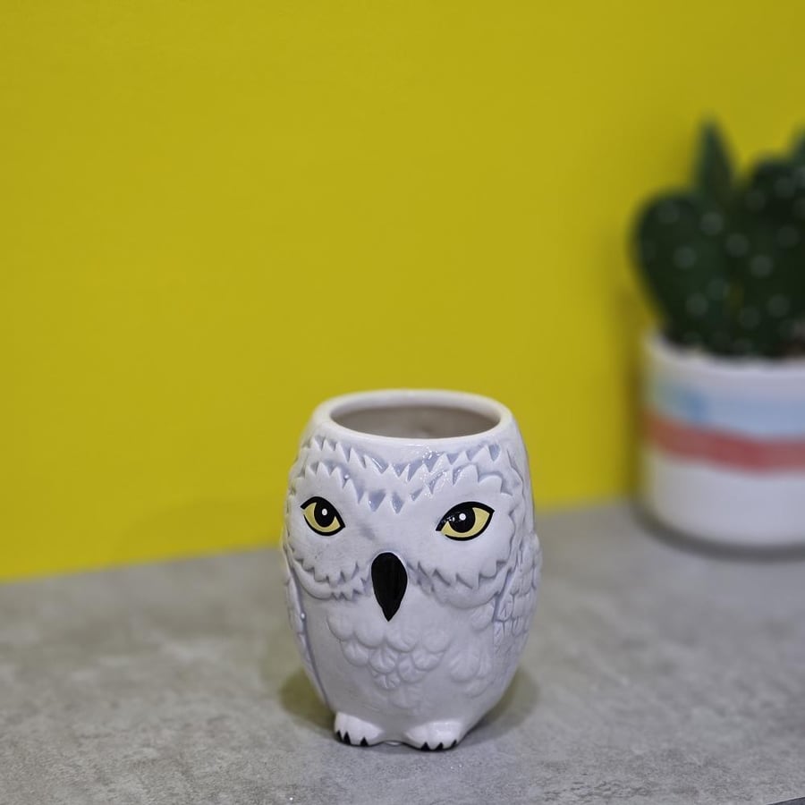 Owl 3D cup