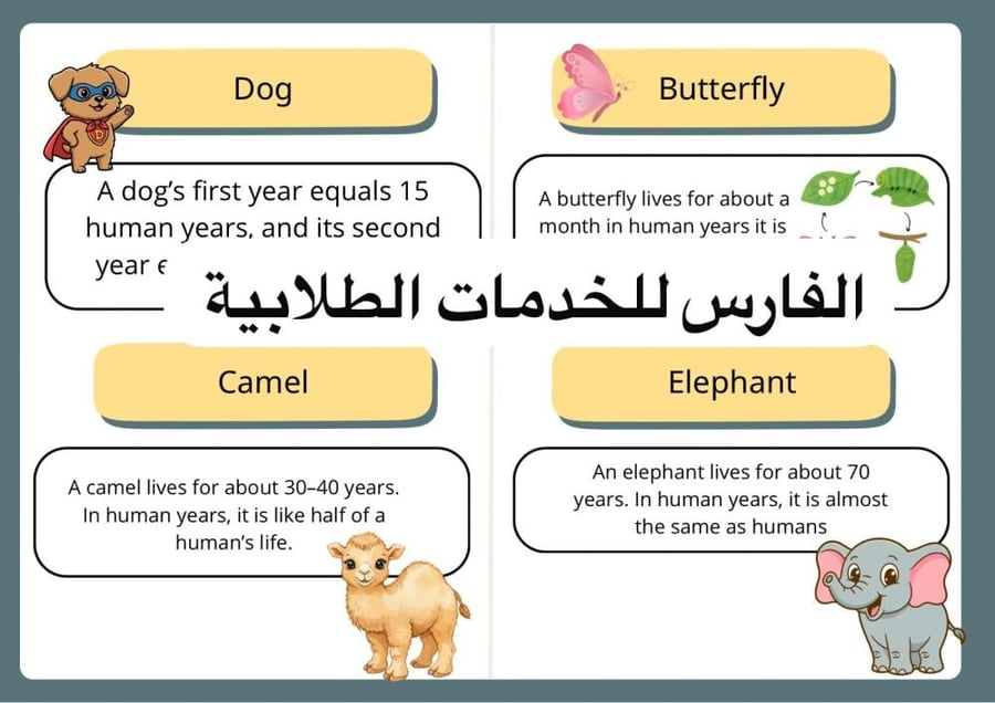 مطوية اعمار الحيوانات how old are they - انجليزي اول متوسط -