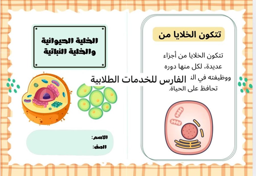 مطوية الخلية الحيوانية والخلية النباتية - علوم سادس الترم الأول-