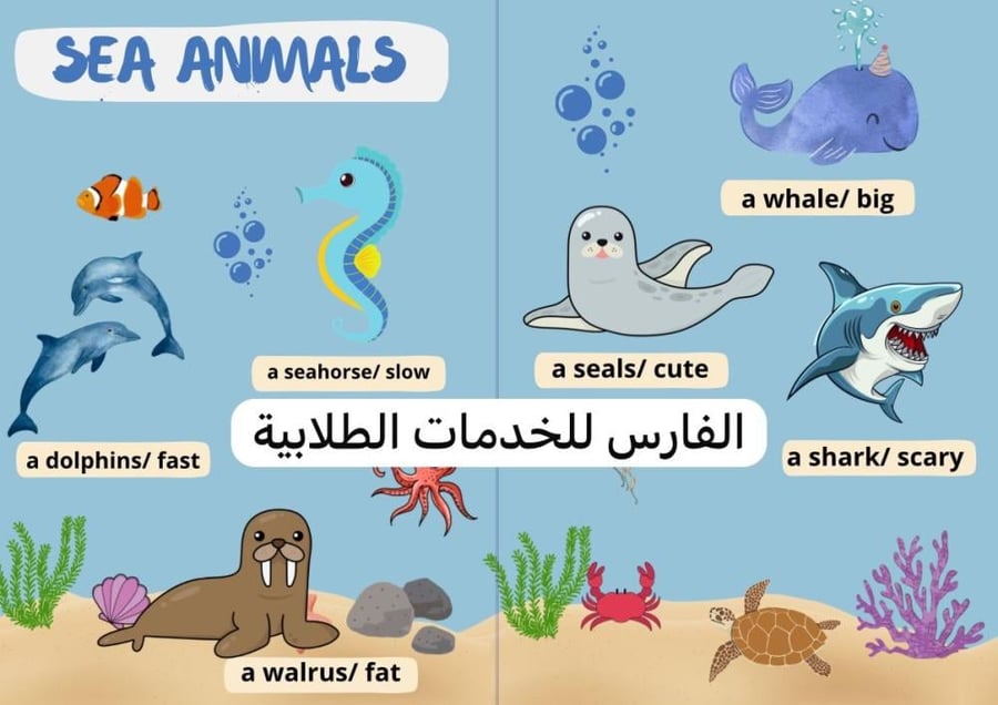 مطوية Sea Animals -انجليزي ثالث الترم الأول -