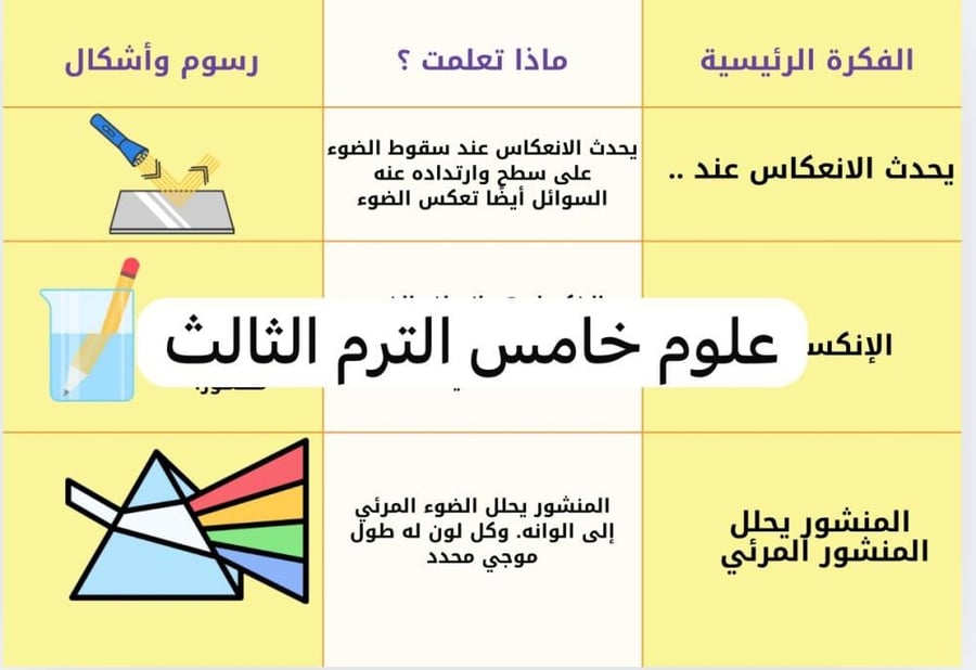 Light brochure (Science fifth grade second semester)