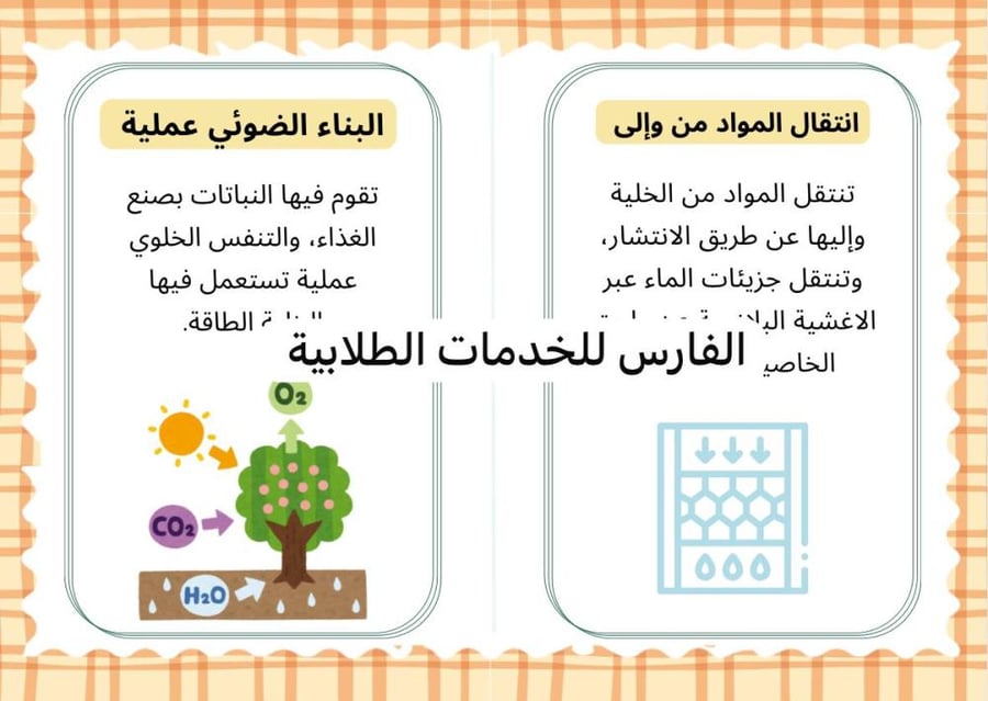 مطوية الخلية الحيوانية والخلية النباتية - علوم سادس الترم الأول-