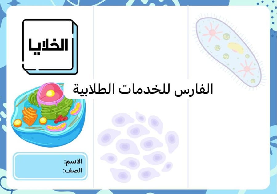 مطوية الخلايا - علوم رابع الترم الأول-