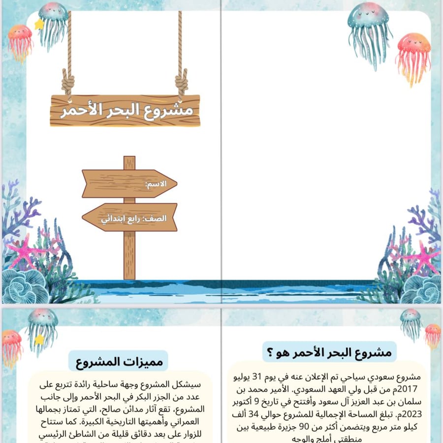 Red Sea Project (My language fourth)