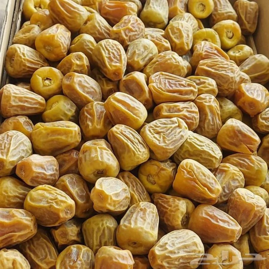 سكري القصيم ملكي