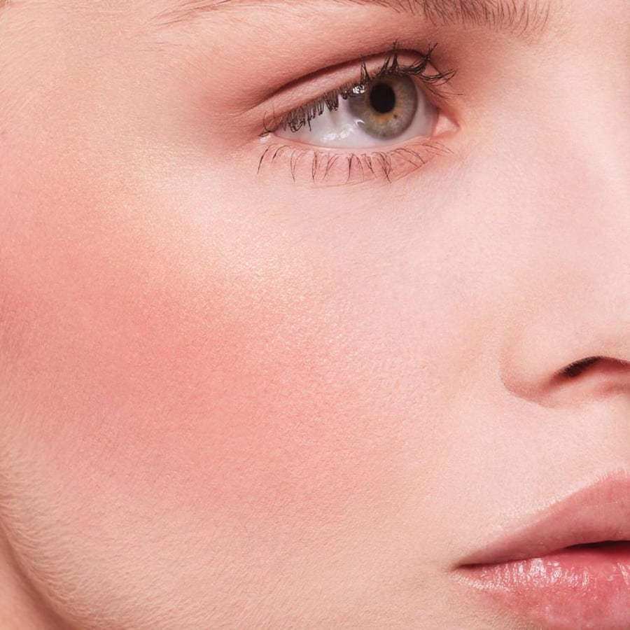 Arben Decay palette stay naked threesome blush bronzer and highlighter shade - naked