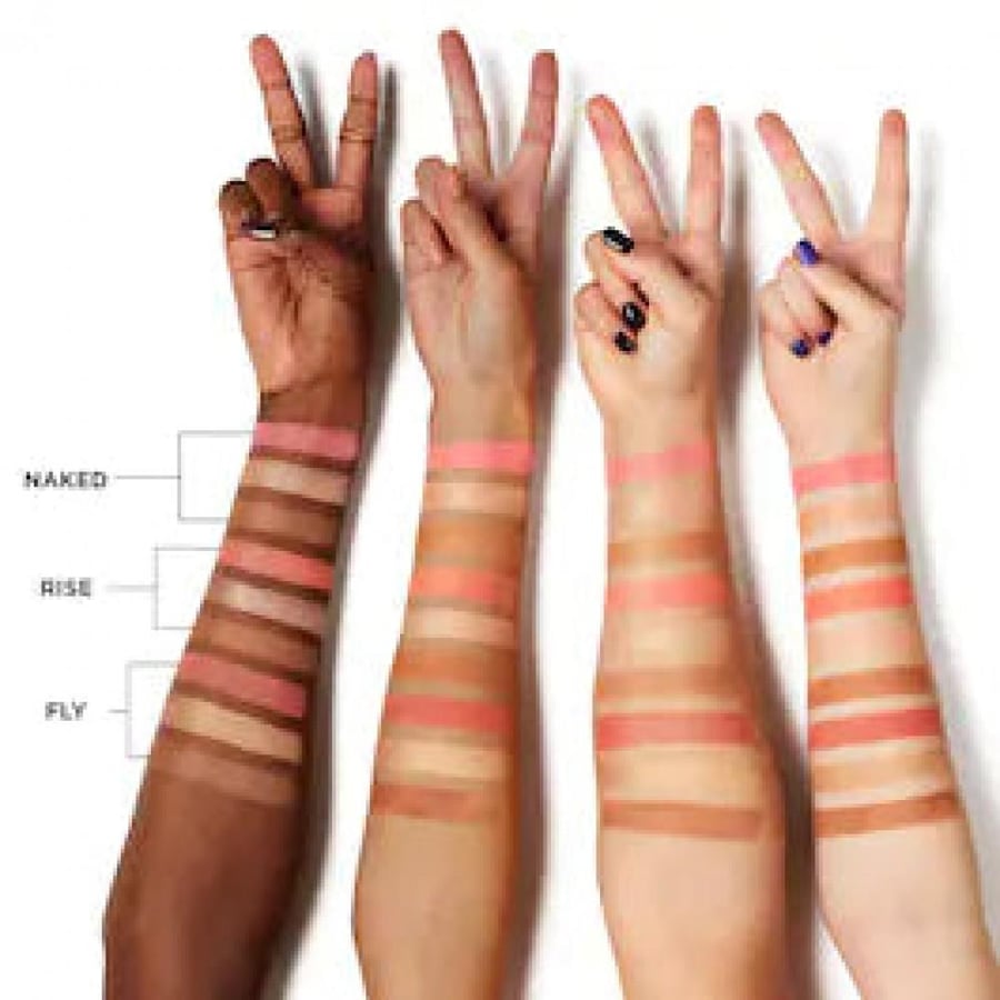 Arben Decay palette stay naked Threesom blush bronzer and highlighter shade - Flay