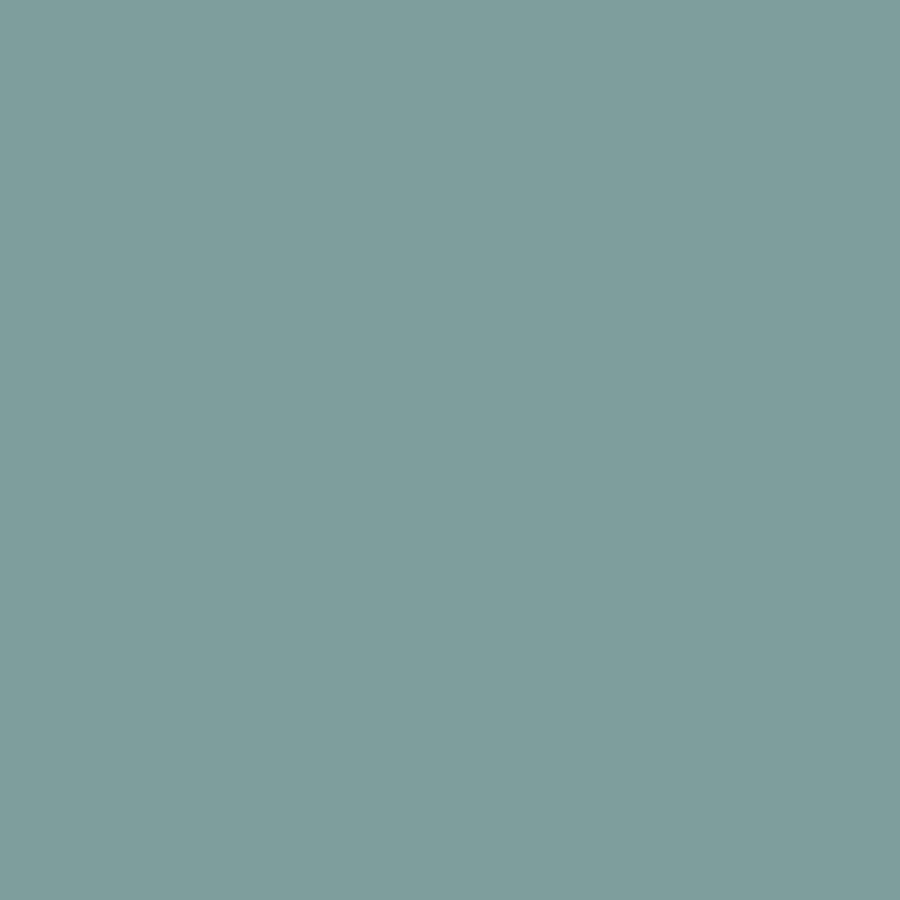 US USA nail polish - 655