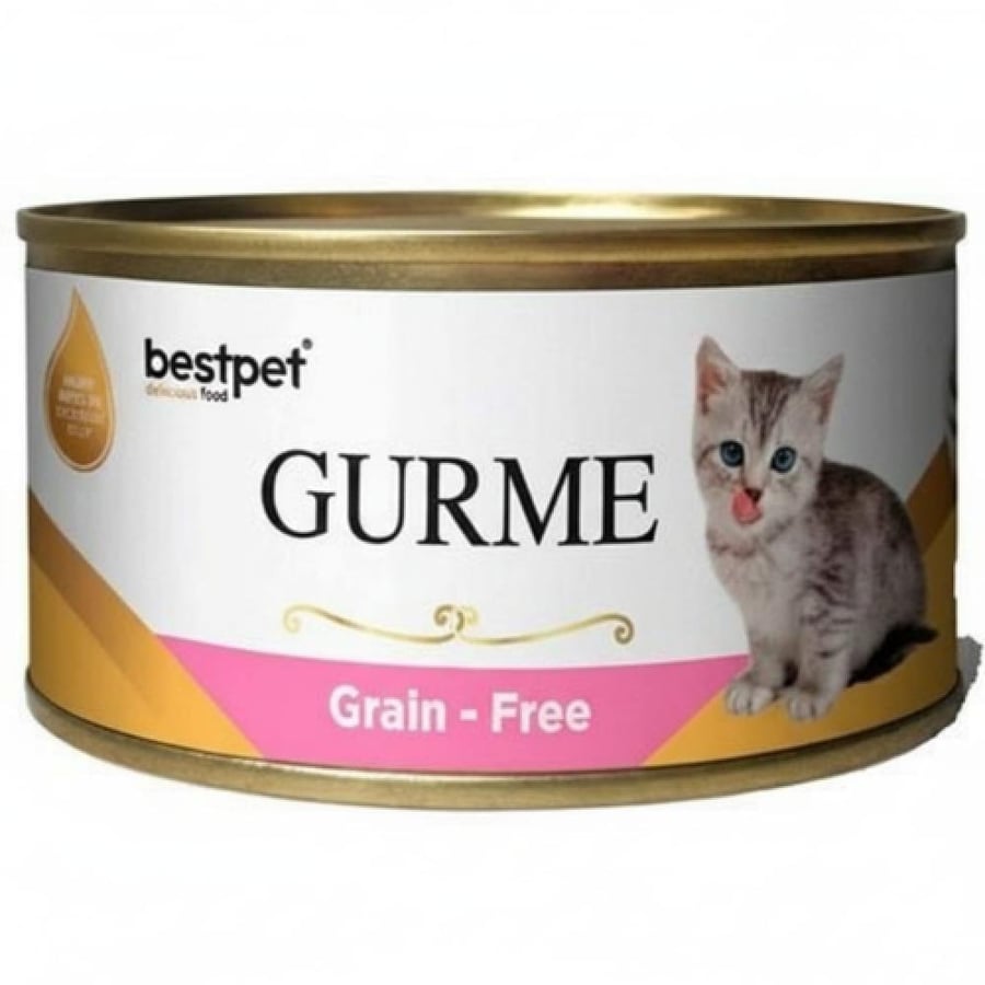 بيست بيت طعام القطط الرطب Bestpet GURME - خيار التغذية المثالي لقطتك!