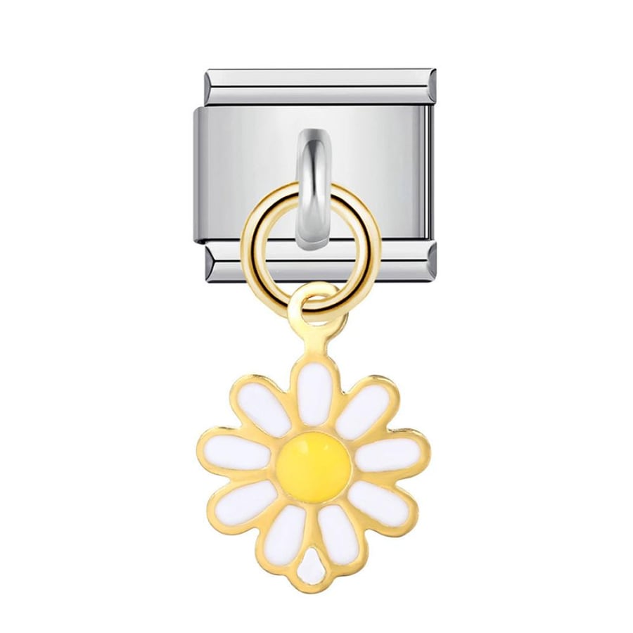 وردة بيضاء - White Flower