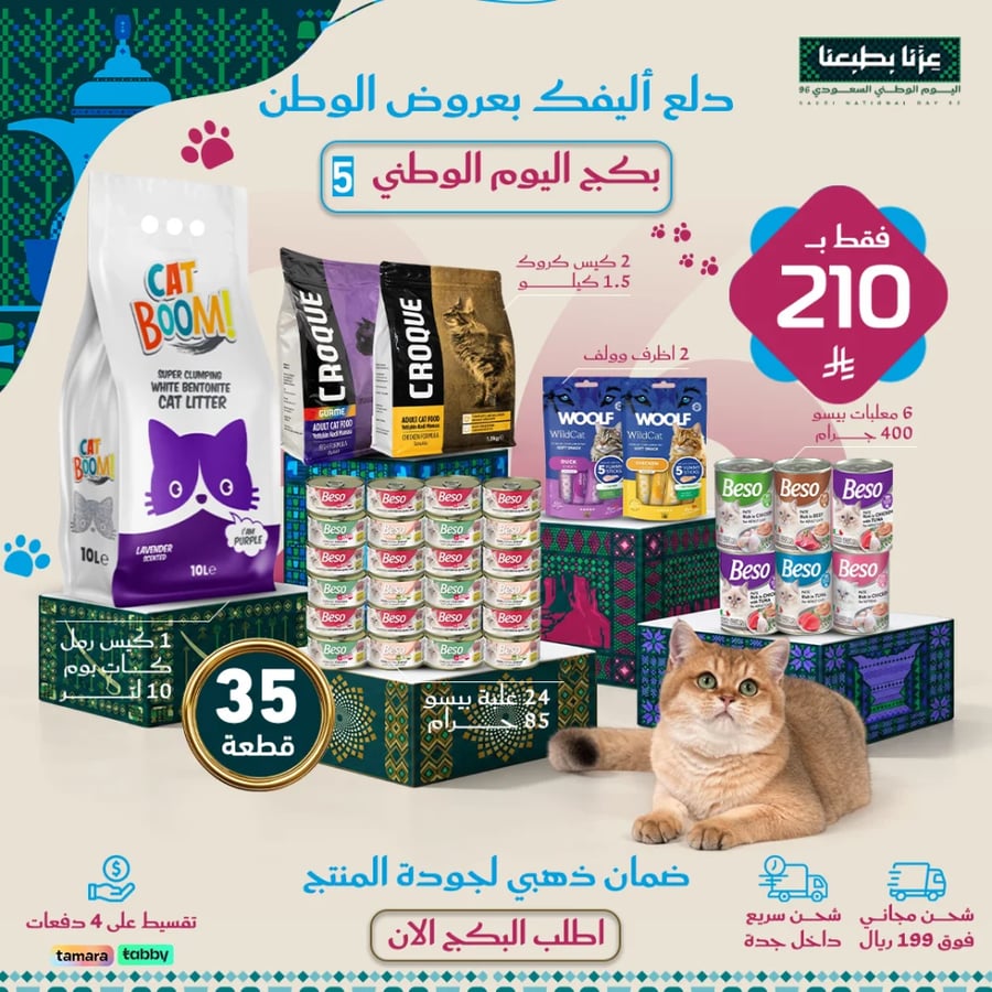 بكج اليوم الوطني 5