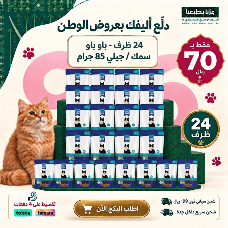 بكج الدلع المضاعف لليوم الوطني