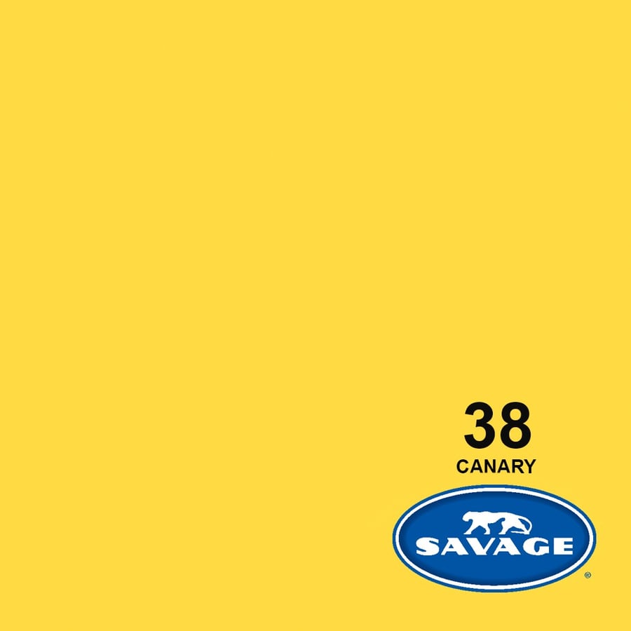 Savage #38 Seamless Background Paper (Canary 2.72 x 11m)
