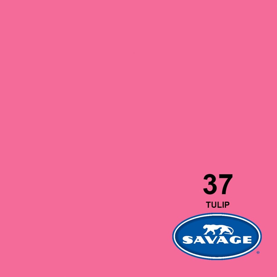 Savage #37 Seamless Background Paper (Tulip 2.72 x 11m)