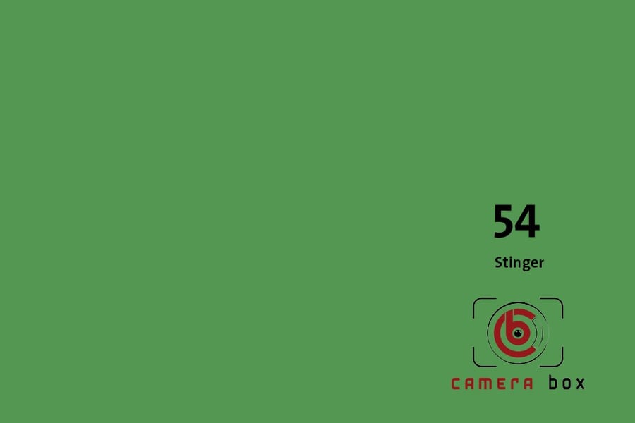 CameraBox #54 Seamless Background Paper (Stinger, 2.7 x 10m)