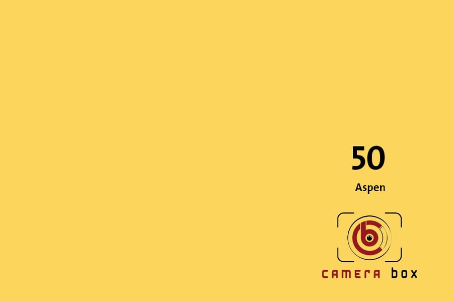 CameraBox #50 Seamless Background Paper (Aspen, 2.7x10m)