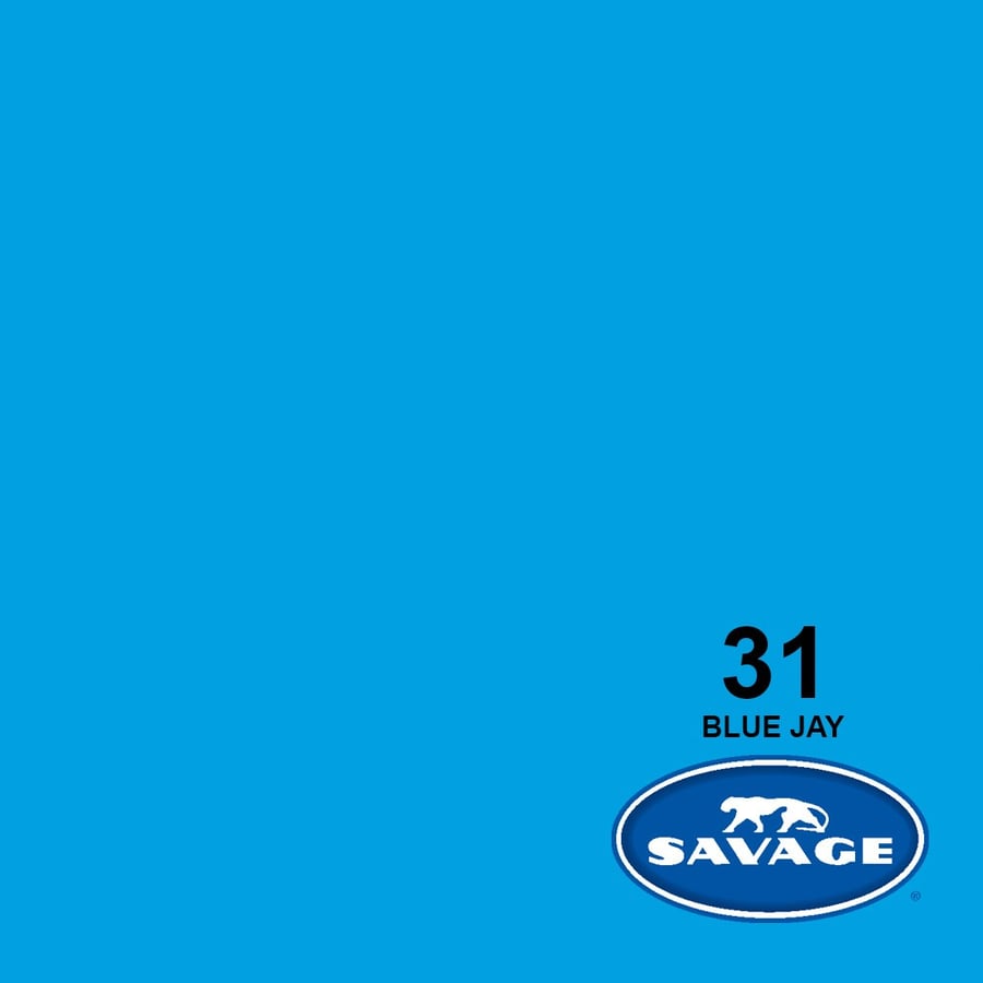 Savage #31 Seamless Background Paper (Blue Jay, 1.35 x 11m)
