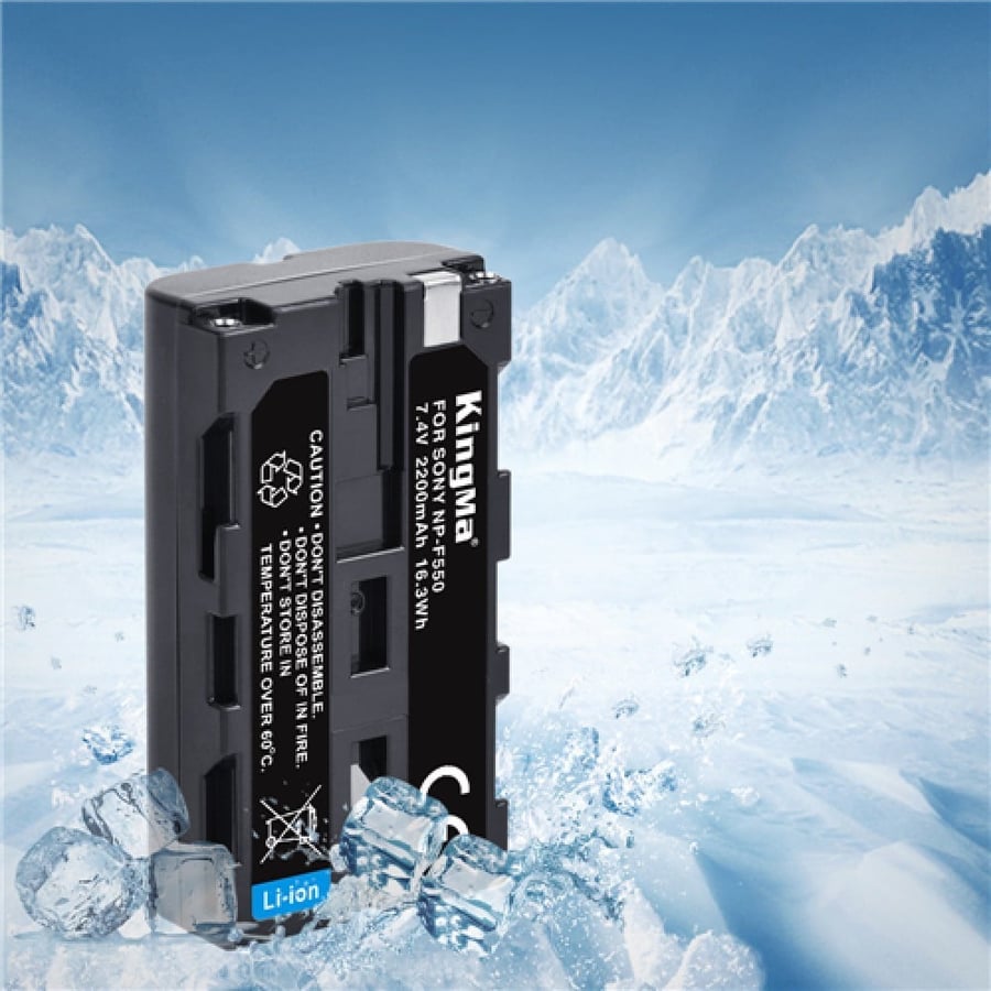 KingMa 2200mAh NP-F550 2-Pack Battery and LCD dual Charger Kit for Son