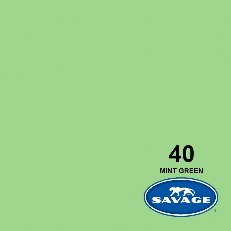 Savage #40 Seamless Background Paper (Mint Green 2.72 x 11m)
