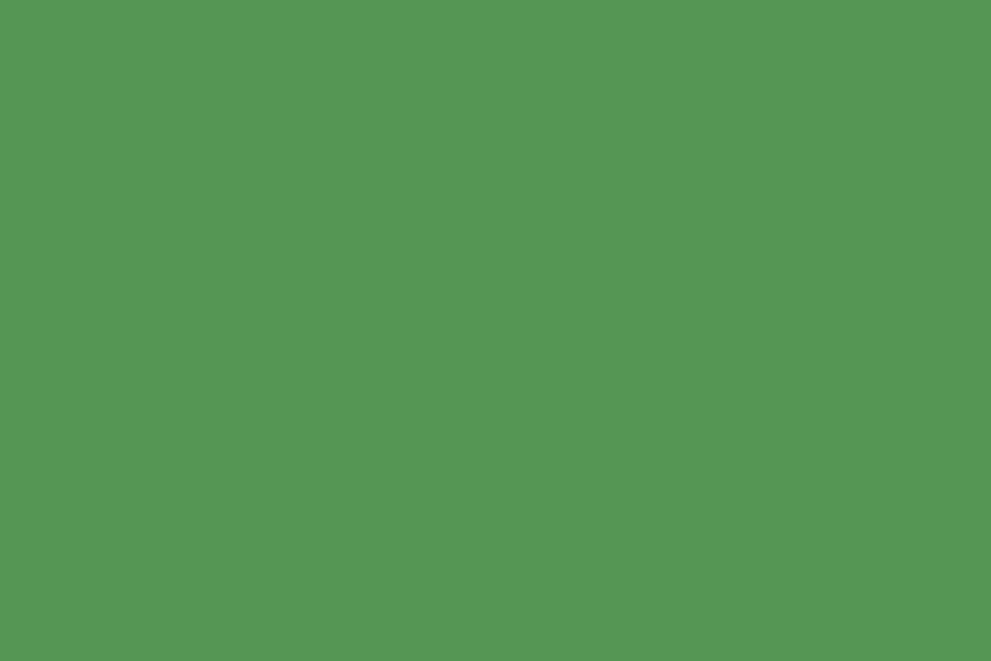 Superior Seamless Photography Background Paper, #54 Stinger (1.35m x 11m)