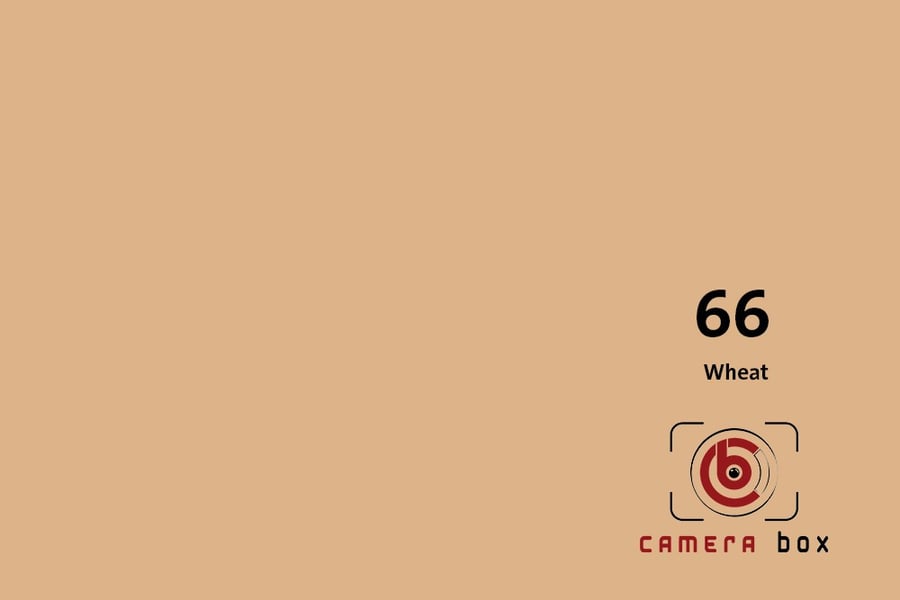 CameraBox #66 Seamless Background Paper (Wheat, 2.7 x 10m)