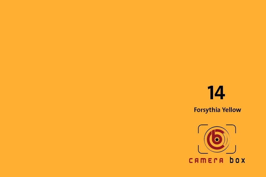CameraBox #14 Seamless Background Paper (Forsythia Yellow, 1.35x10m)