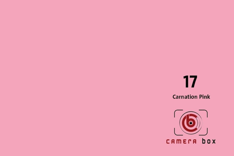 CameraBox #17 Seamless Background Paper (Carnation Pink, 1.35x10m)