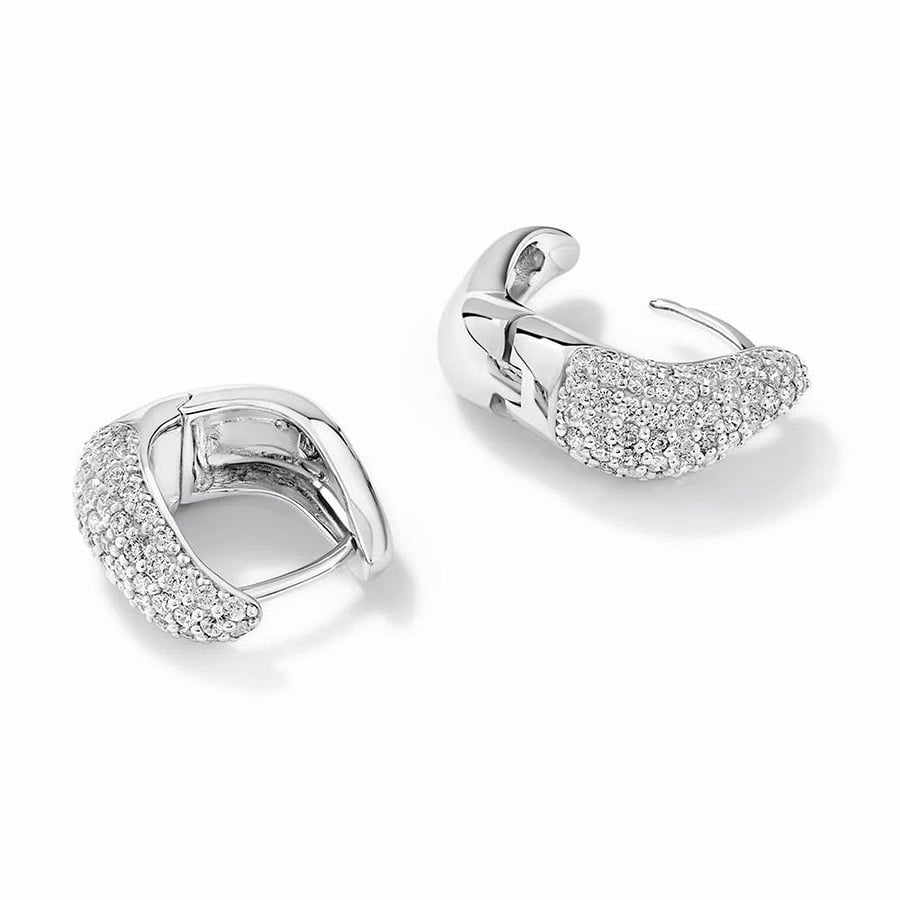 Small Ear Hoops