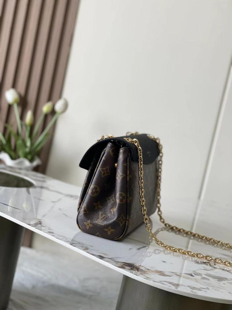 LV Monogram & Leather Mix Chain Bag