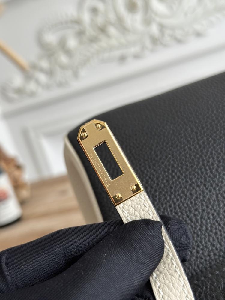 Hermes Birkin Bag (Gold & Silver Hardware Edition)