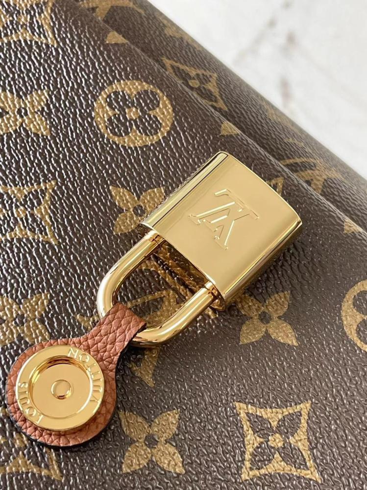 LV Monogram & Leather Mix Chain Bag