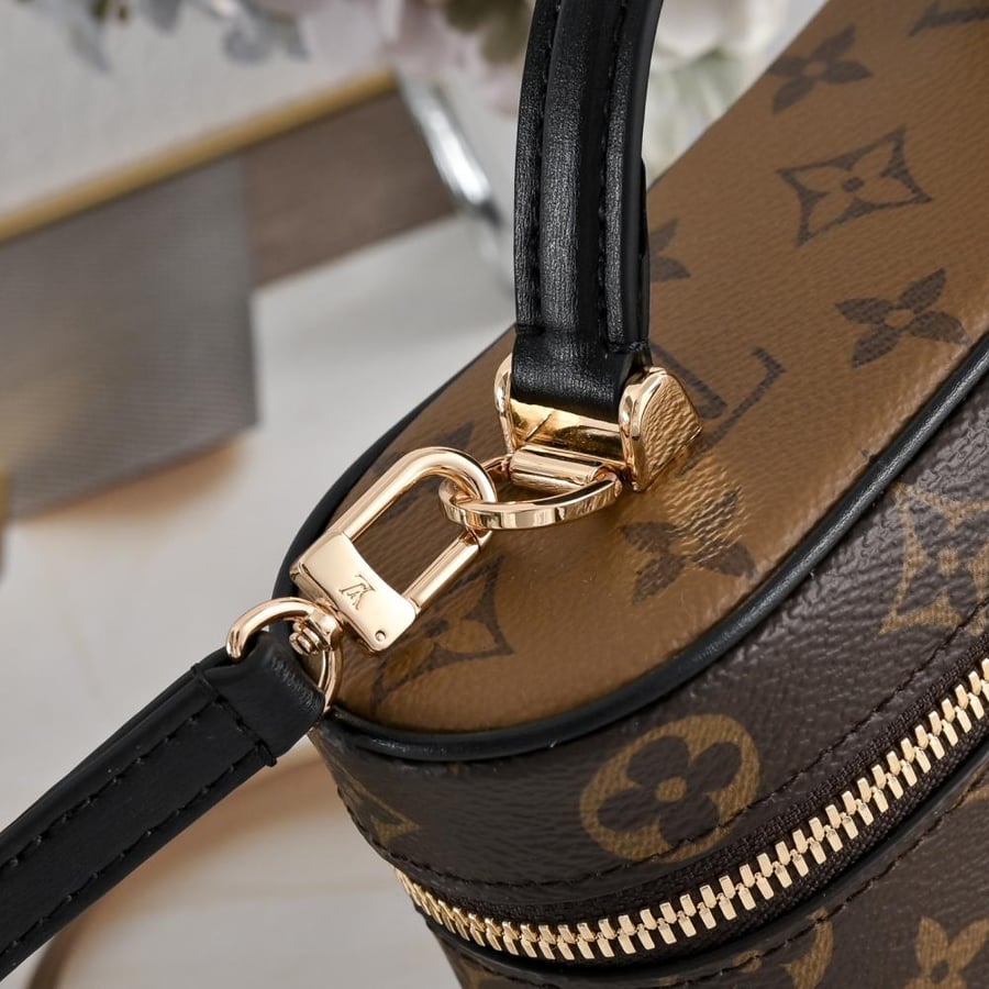 LV Vanity Monogram Small Bag