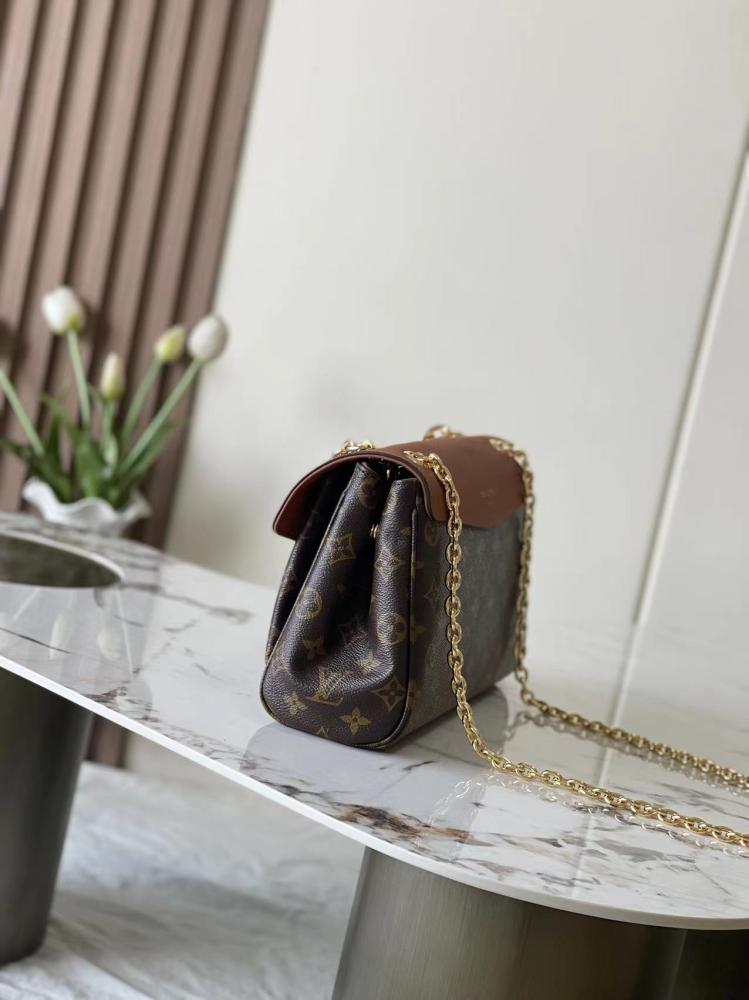 LV Monogram & Leather Mix Chain Bag
