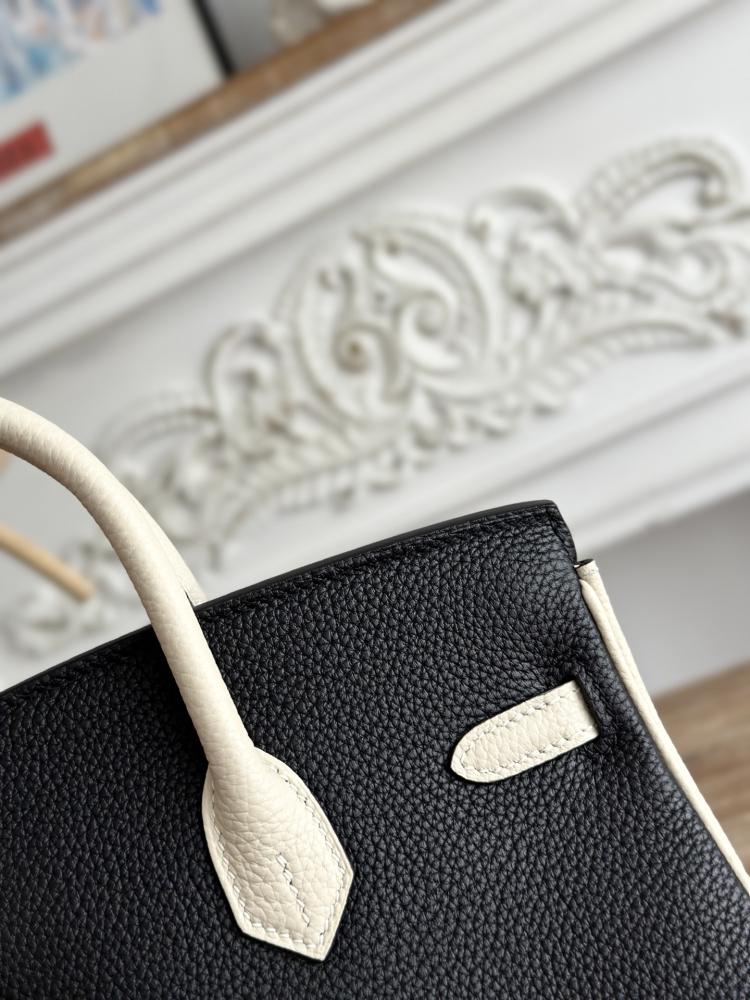 Hermes Birkin Bag (Gold & Silver Hardware Edition)