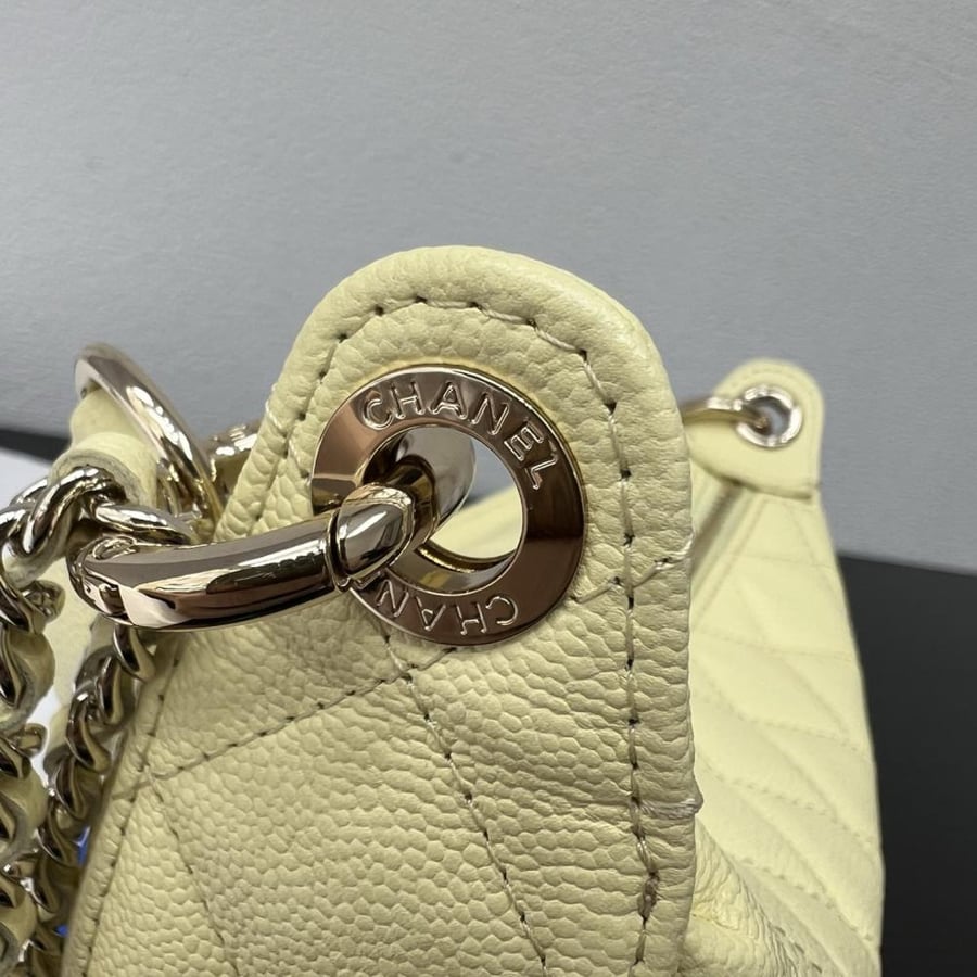Chanel Quilted Moon Bag